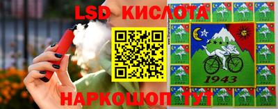 PSILOCYBIN Владимир