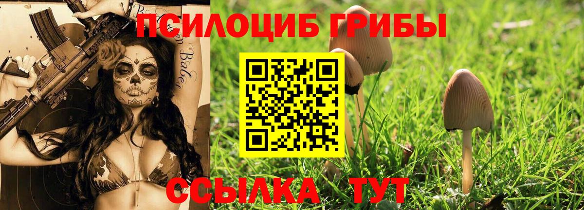 магазин продажи наркотиков  Псилоцибиновые грибы Psilocybine cubensis  Вход с VPN  Коряжма 