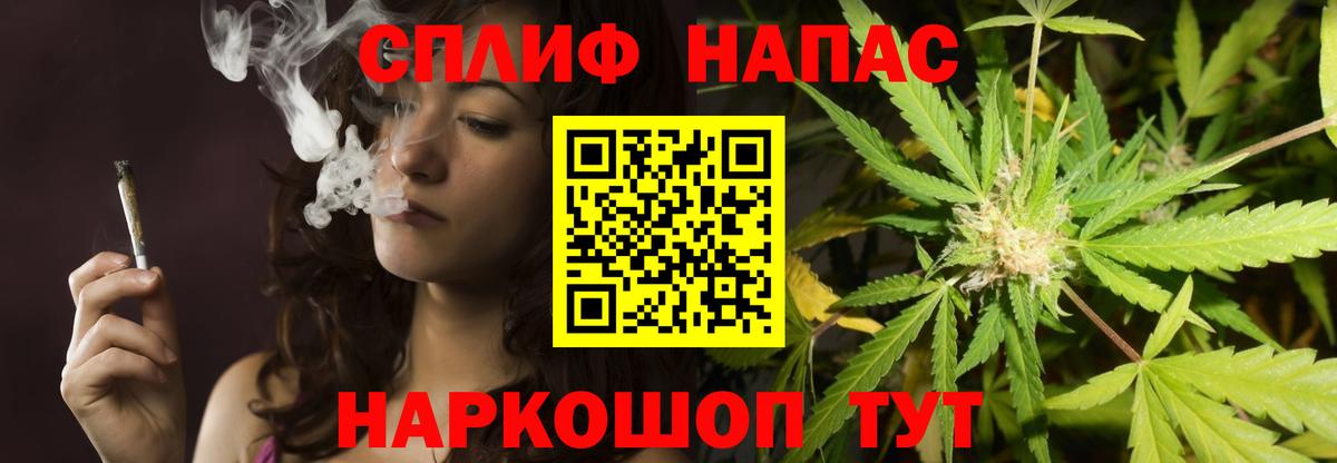 Бошки Шишки гибрид Коряжма